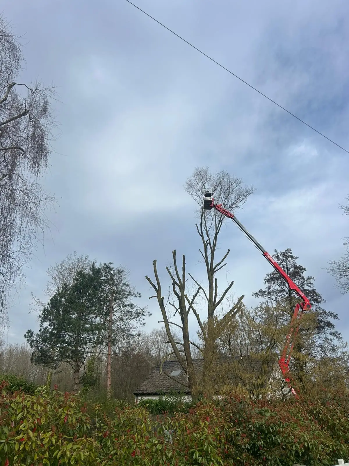 Elagage d'arbres Valenciennes